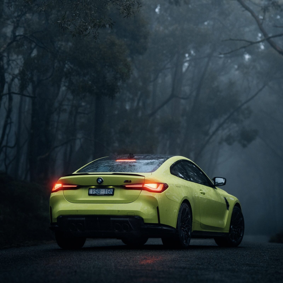 A BMW M4 on a misty forest road in the Victorian hills